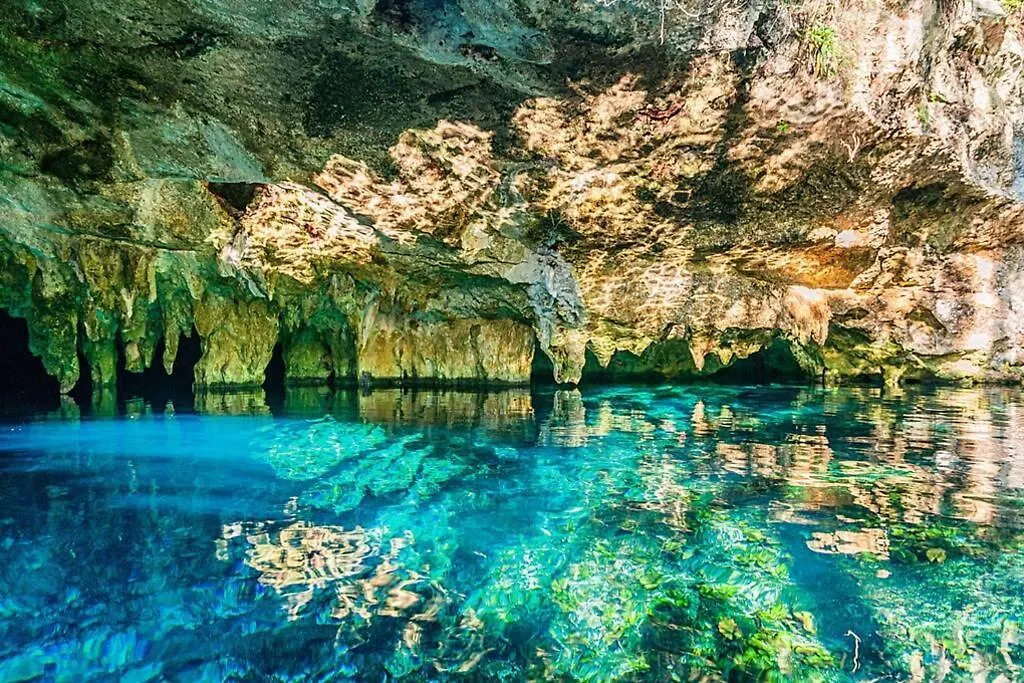 #3 Amazing Cute Downtown Apartment - Daily/Monthly Tulum